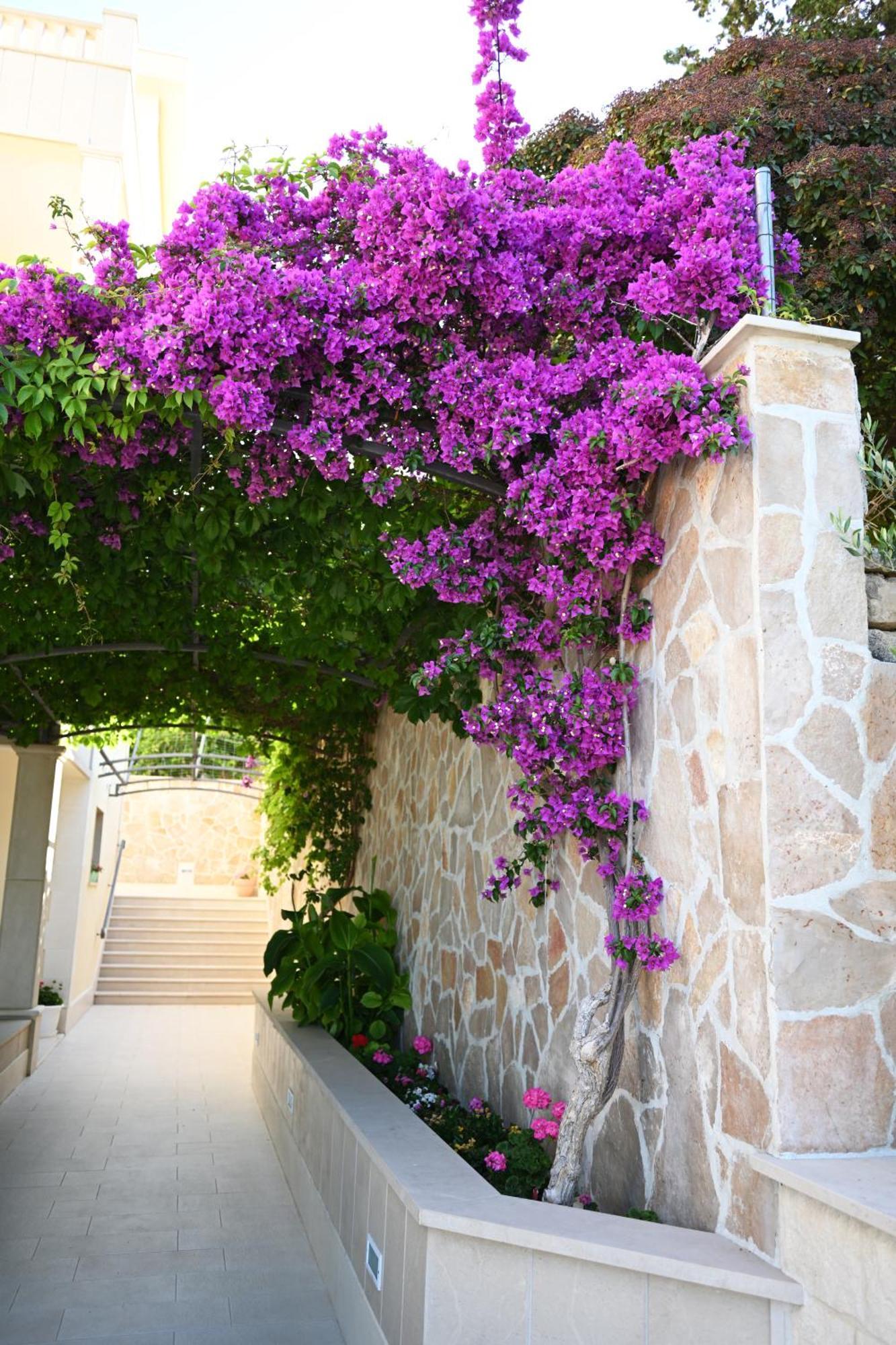 Hvar Villa Malisko Apartments Hvar Town Zewnętrze zdjęcie